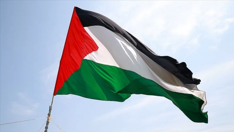 فلسطين: عملية 